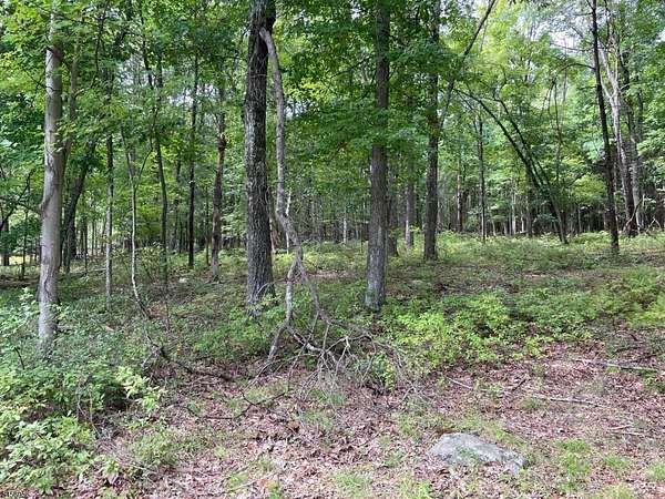 5.48 Acres of Residential Land for Sale in Stillwater Township, New Jersey