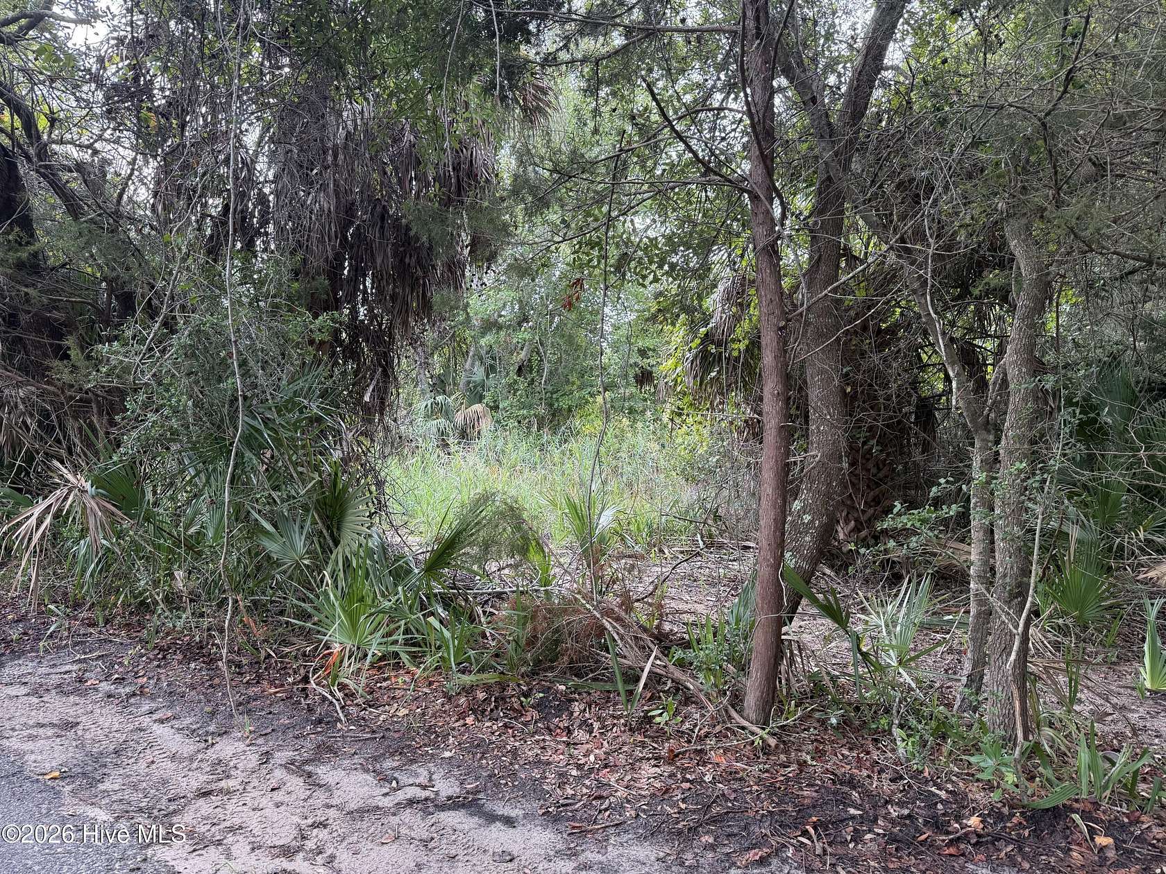 0.23 Acres of Residential Land for Sale in Bald Head Island, North Carolina