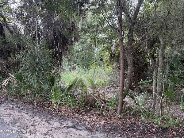0.23 Acres of Residential Land for Sale in Bald Head Island, North Carolina