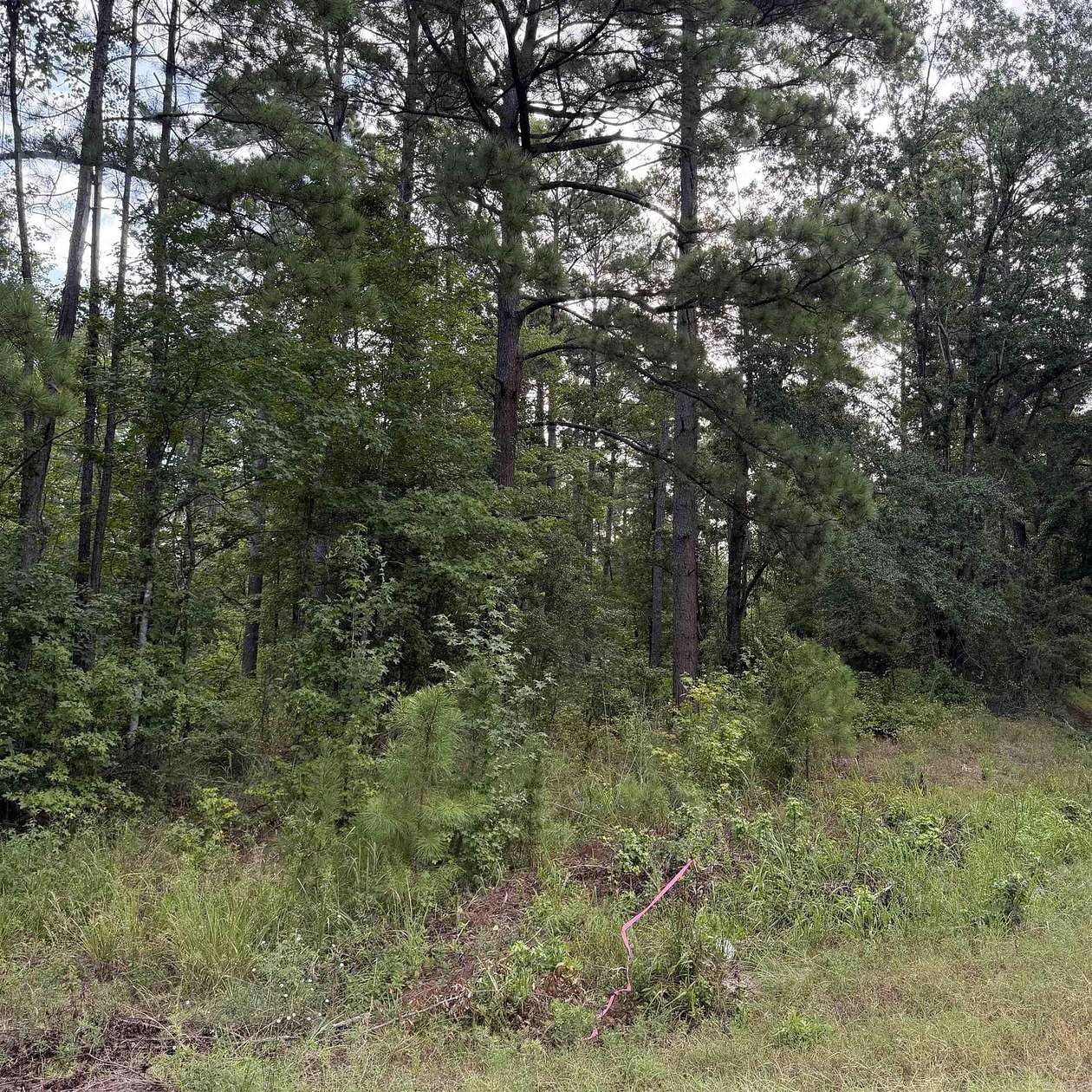 8 Acres of Residential Land for Sale in Sheridan, Arkansas