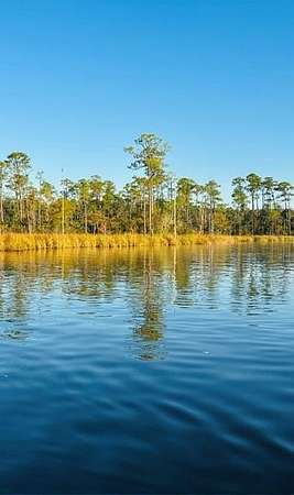 2.19 Acres of Residential Land for Sale in Mobile, Alabama