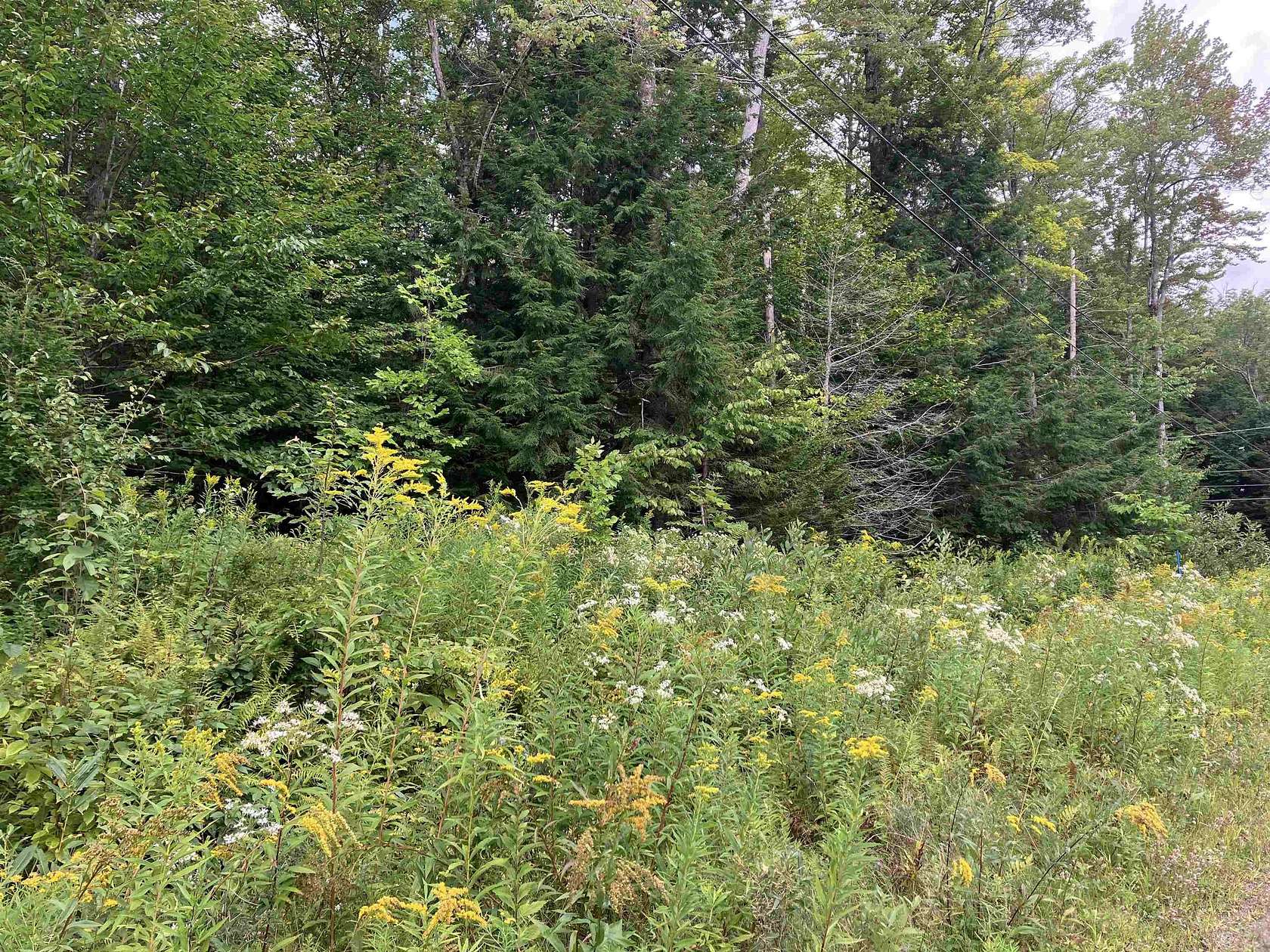 0.59 Acres of Residential Land for Sale in Wilmington, Vermont