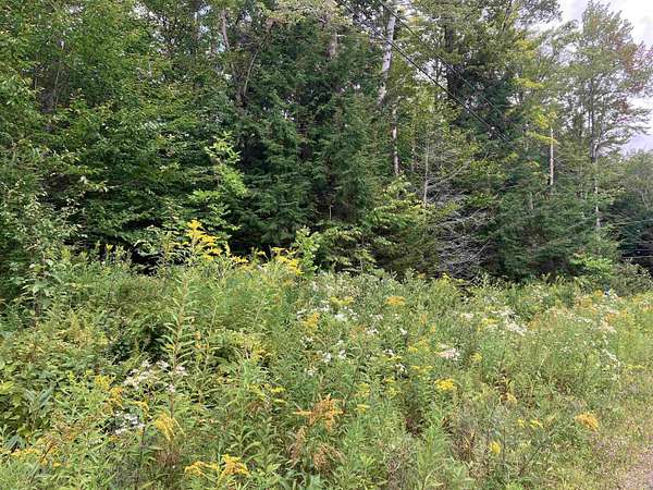 0.59 Acres of Residential Land for Sale in Wilmington, Vermont