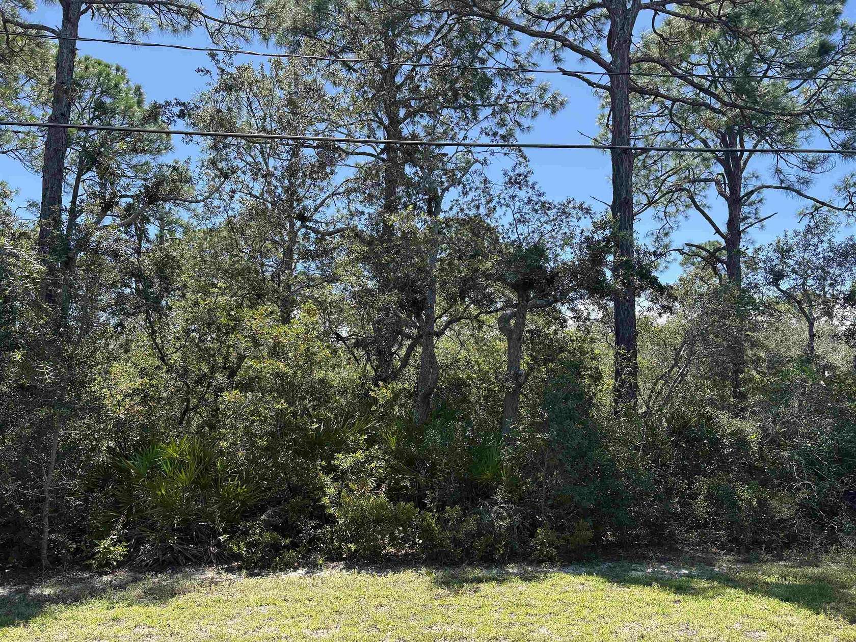 0.55 Acres of Land for Sale in Panacea, Florida