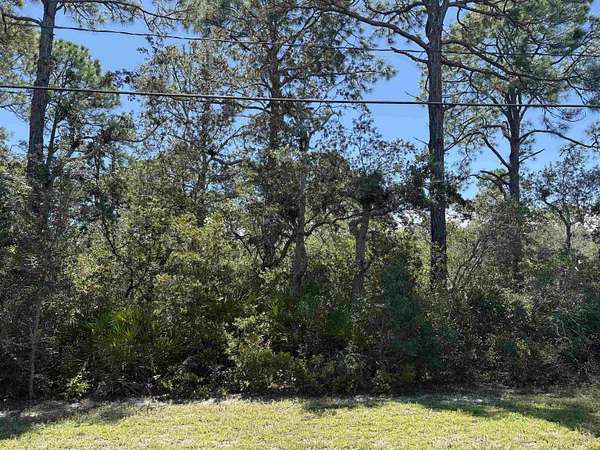 0.55 Acres of Land for Sale in Panacea, Florida