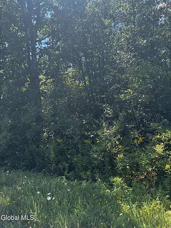 18.9 Acres of Recreational & Residential Land for Sale in Johnstown, New York