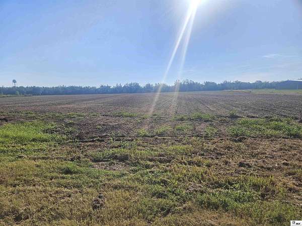 31.7 Acres of Commercial Land for Sale in Rayville, Louisiana