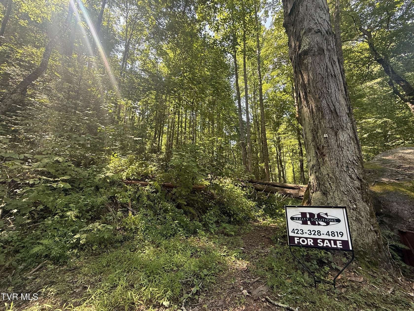 15.2 Acres of Recreational Land for Sale in Hampton, Tennessee