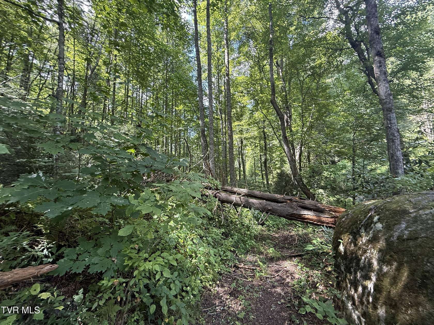 15.2 Acres of Recreational Land for Sale in Hampton, Tennessee