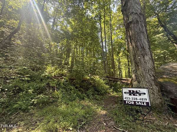 15.2 Acres of Recreational Land for Sale in Hampton, Tennessee