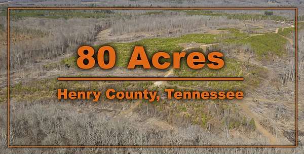 80 Acres of Land for Sale in Mansfield, Tennessee