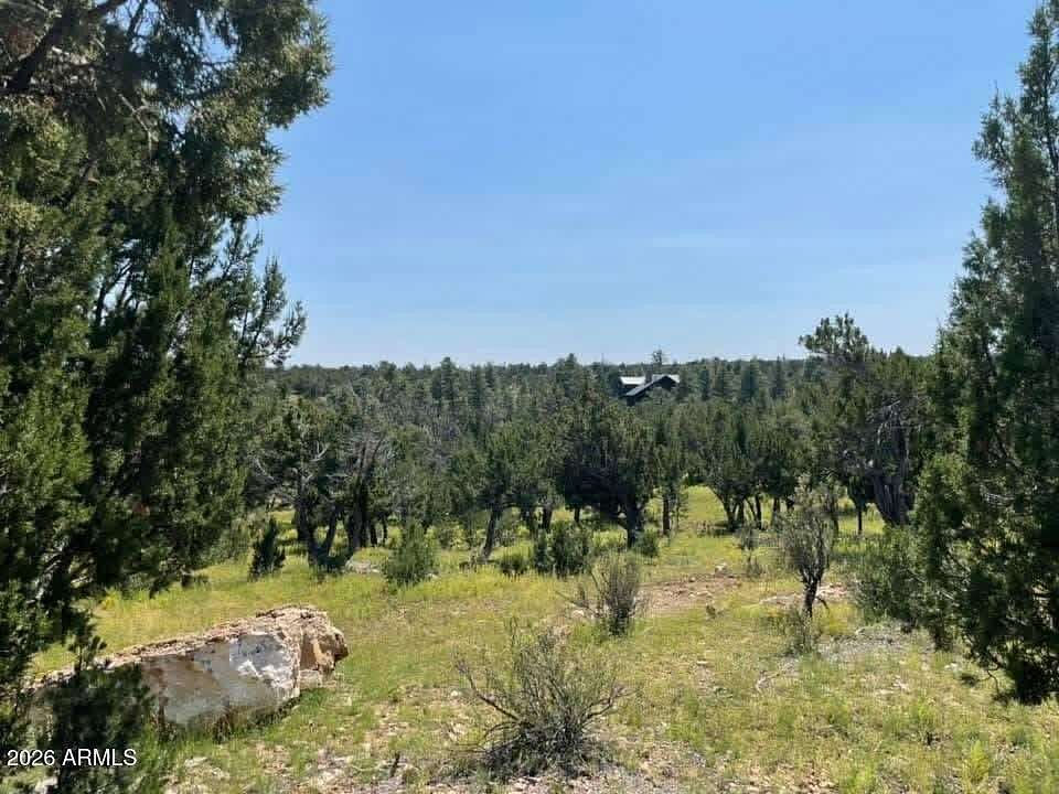 5 Acres of Residential Land for Sale in Happy Jack, Arizona