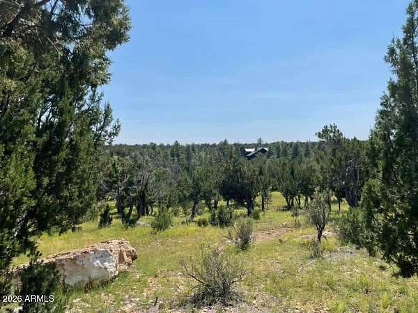 5 Acres of Residential Land for Sale in Happy Jack, Arizona