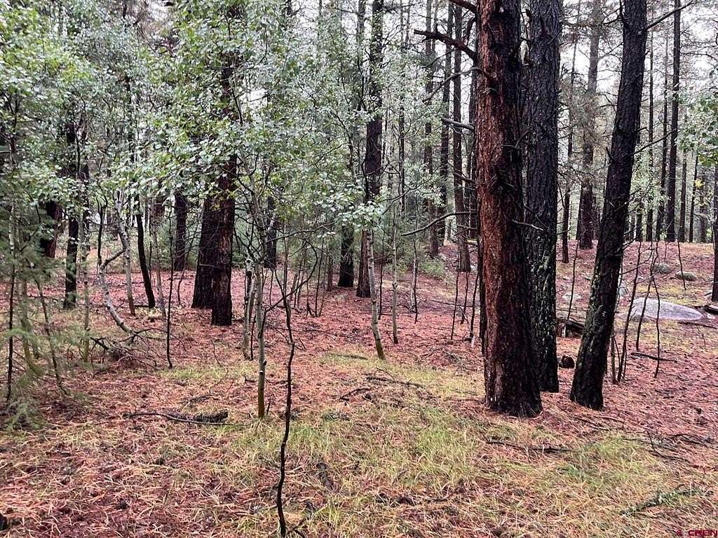 2.25 Acres of Land for Sale in Bayfield, Colorado