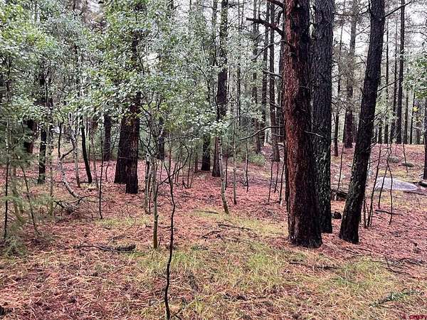 2.25 Acres of Land for Sale in Bayfield, Colorado