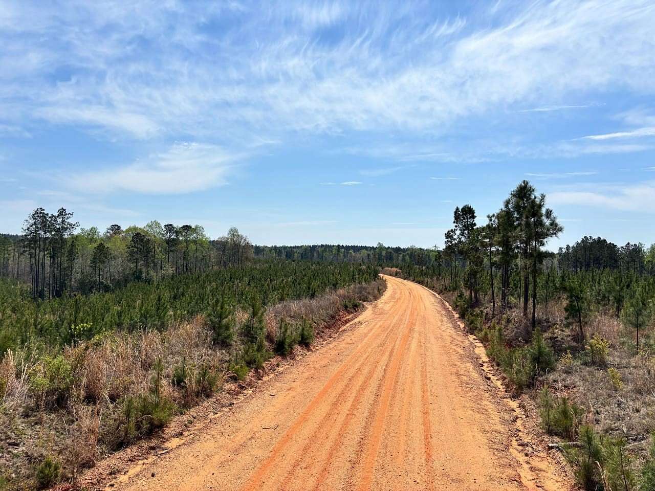 161 Acres of Recreational Land for Sale in Quitman, Mississippi