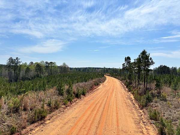 161 Acres of Recreational Land for Sale in Quitman, Mississippi