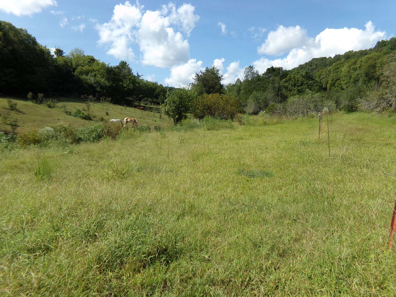 22.5 Acres of Land for Sale in Lewisburg, Tennessee