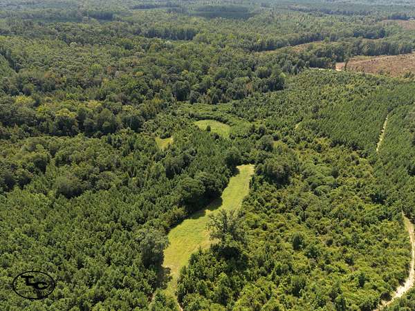 120 Acres of Recreational Land for Sale in Dixons Mills, Alabama