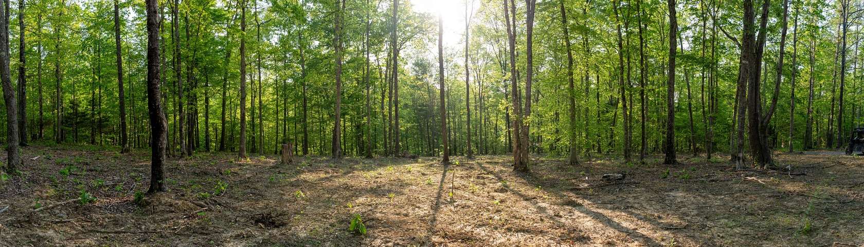 30.1 Acres of Land for Sale in Nunnelly, Tennessee