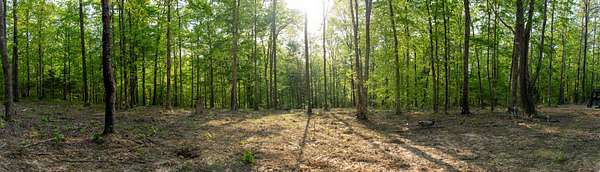 30.1 Acres of Land for Sale in Nunnelly, Tennessee