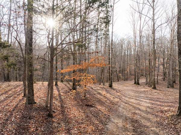 15 Acres of Land for Sale in Nunnelly, Tennessee