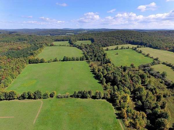 11 Acres of Land for Sale in Delhi, New York
