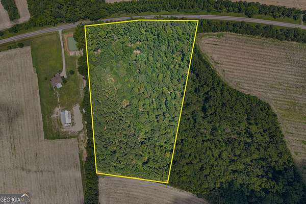 10.7 Acres of Land for Sale in Garfield, Georgia
