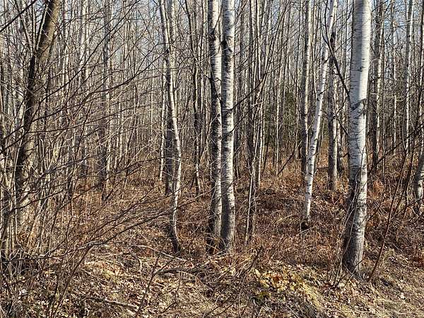 158 Acres of Recreational Land for Sale in Lake Nebagamon, Wisconsin