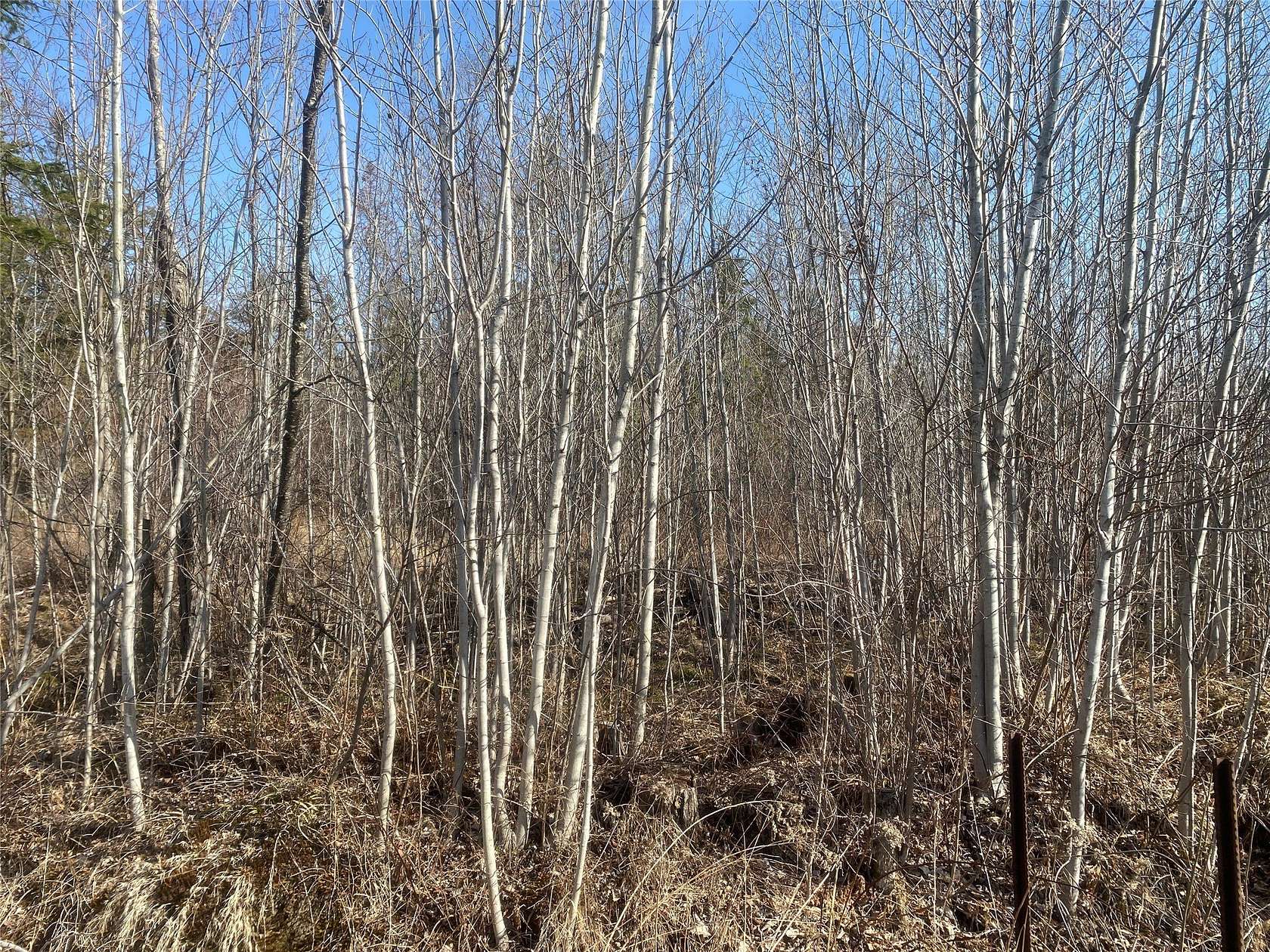 80 Acres of Recreational Land for Sale in Solon Springs, Wisconsin