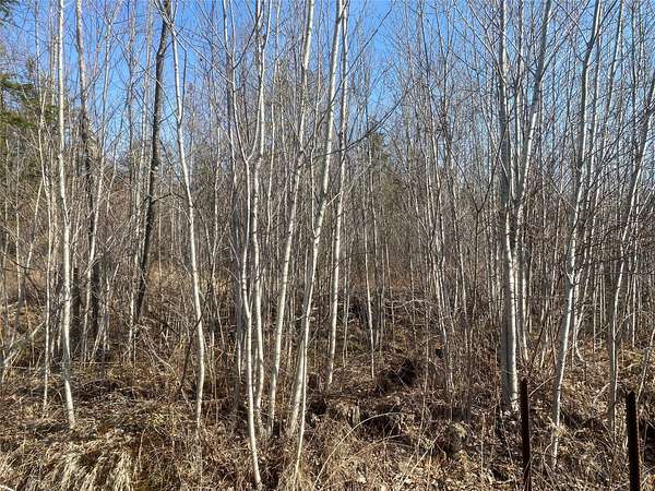 80 Acres of Recreational Land for Sale in Solon Springs, Wisconsin