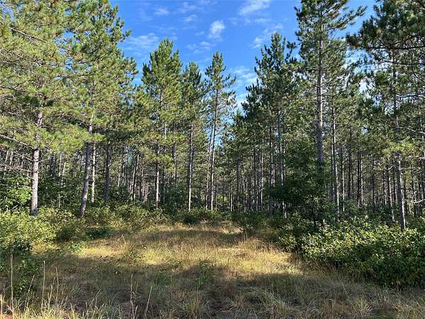 40 Acres of Recreational Land for Sale in Gordon, Wisconsin