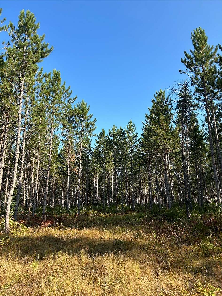 40 Acres of Recreational Land for Sale in Gordon, Wisconsin