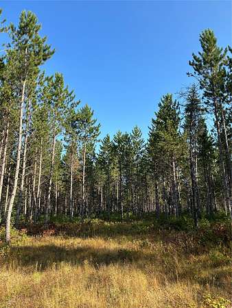 40 Acres of Recreational Land for Sale in Gordon, Wisconsin