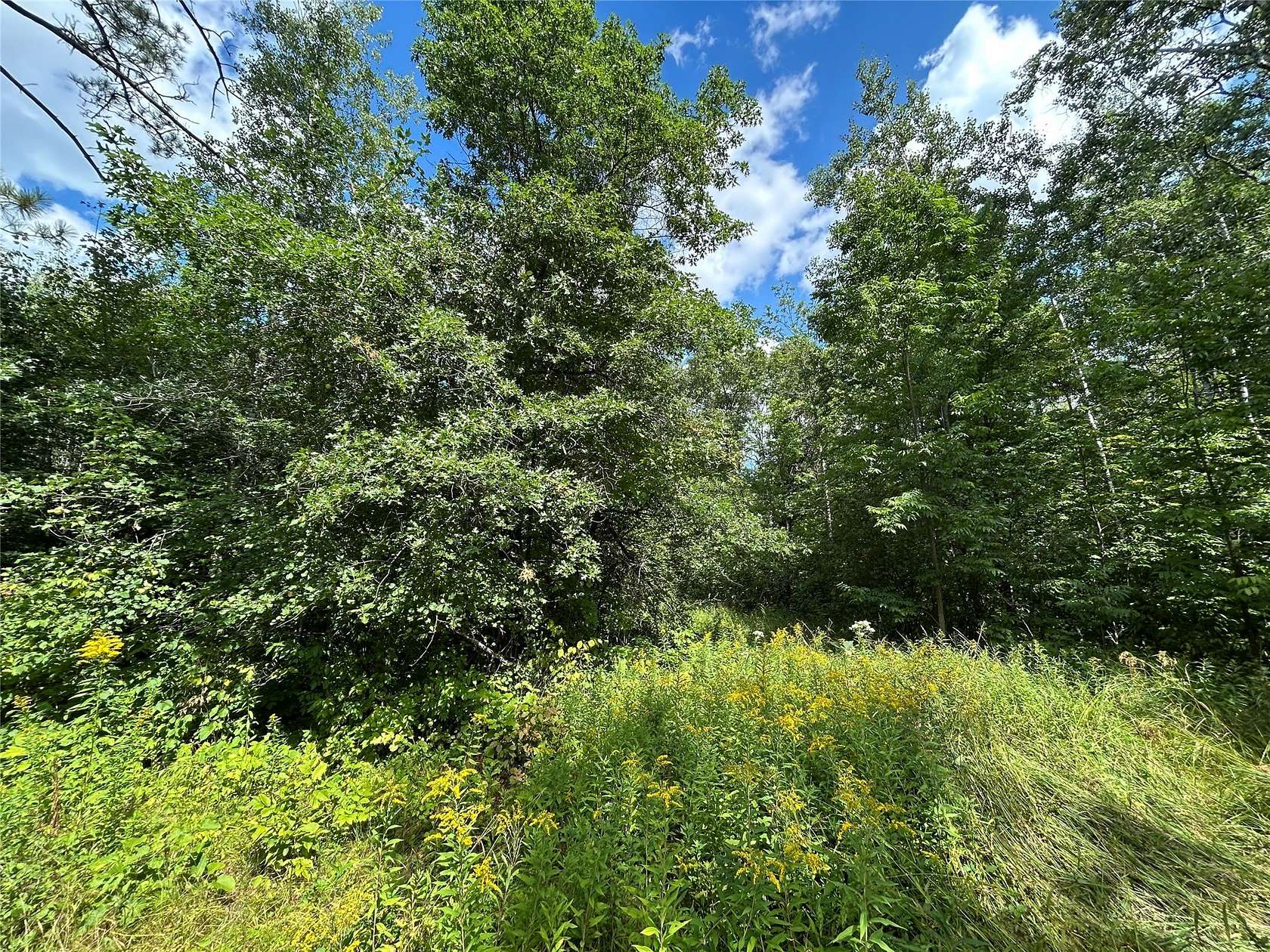 60 Acres of Recreational Land for Sale in Washburn, Wisconsin