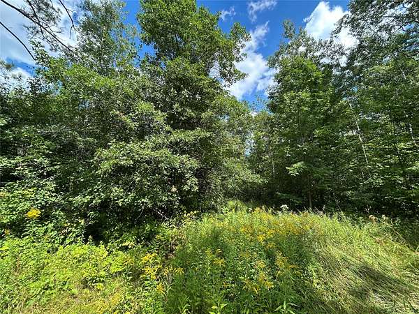 60 Acres of Recreational Land for Sale in Washburn, Wisconsin