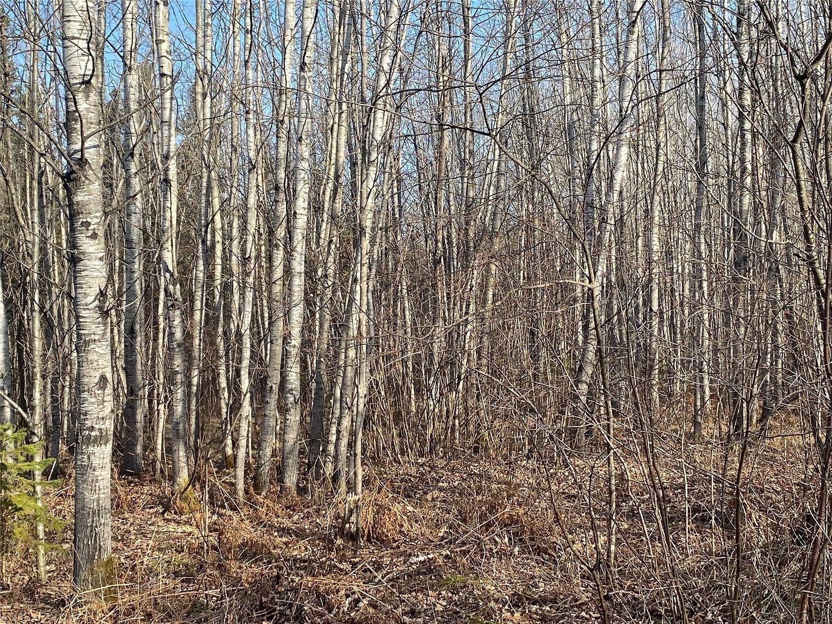 240 Acres of Recreational Land for Sale in Lake Nebagamon, Wisconsin