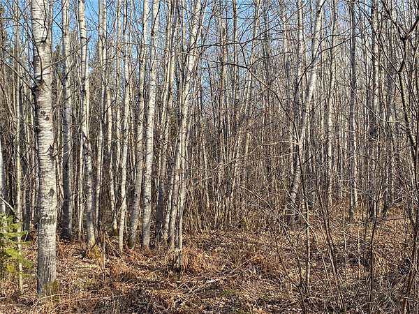 240 Acres of Recreational Land for Sale in Lake Nebagamon, Wisconsin