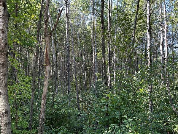 75.5 Acres of Recreational Land for Sale in Bennett, Wisconsin