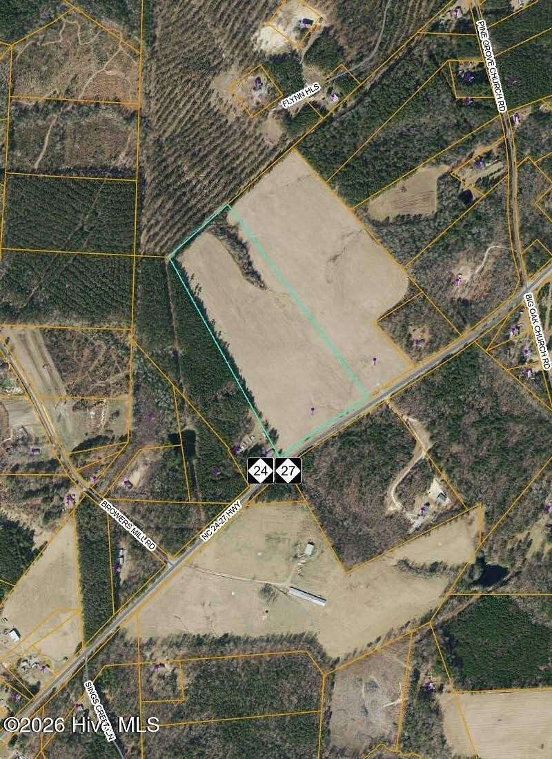 31.3 Acres of Land for Sale in Eagle Springs, North Carolina