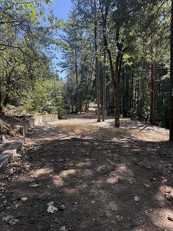 1.25 Acres of Residential Land for Sale in Trinity Center, California