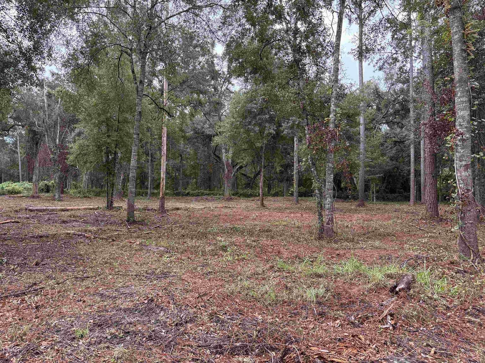 1.75 Acres of Land for Sale in Monticello, Florida