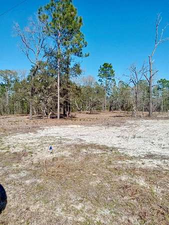 1 Acre of Residential Land for Sale in Dunnellon, Florida