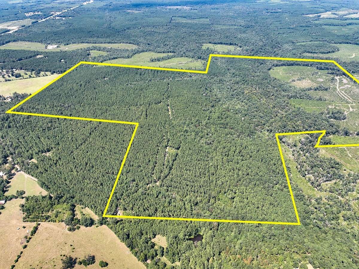 356 Acres of Recreational & Residential Land for Sale in Kirbyville, Texas