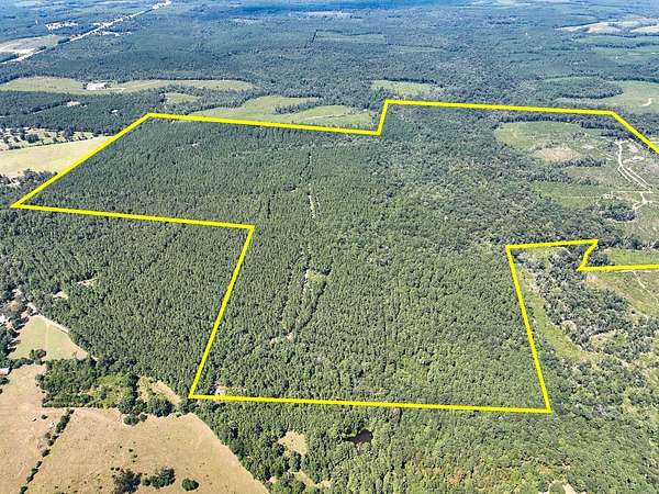 356 Acres of Recreational & Residential Land for Sale in Kirbyville, Texas