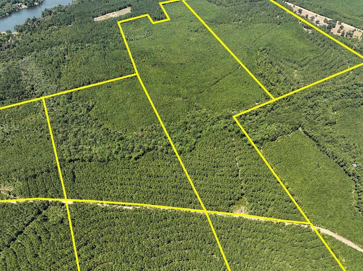 107 Acres of Recreational Land for Sale in Colmesneil, Texas