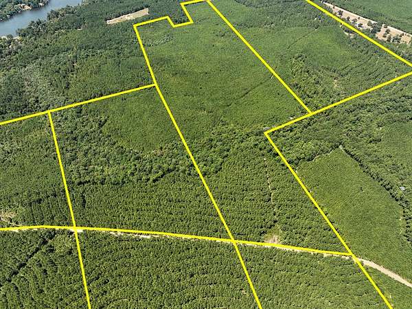 107 Acres of Recreational Land for Sale in Colmesneil, Texas