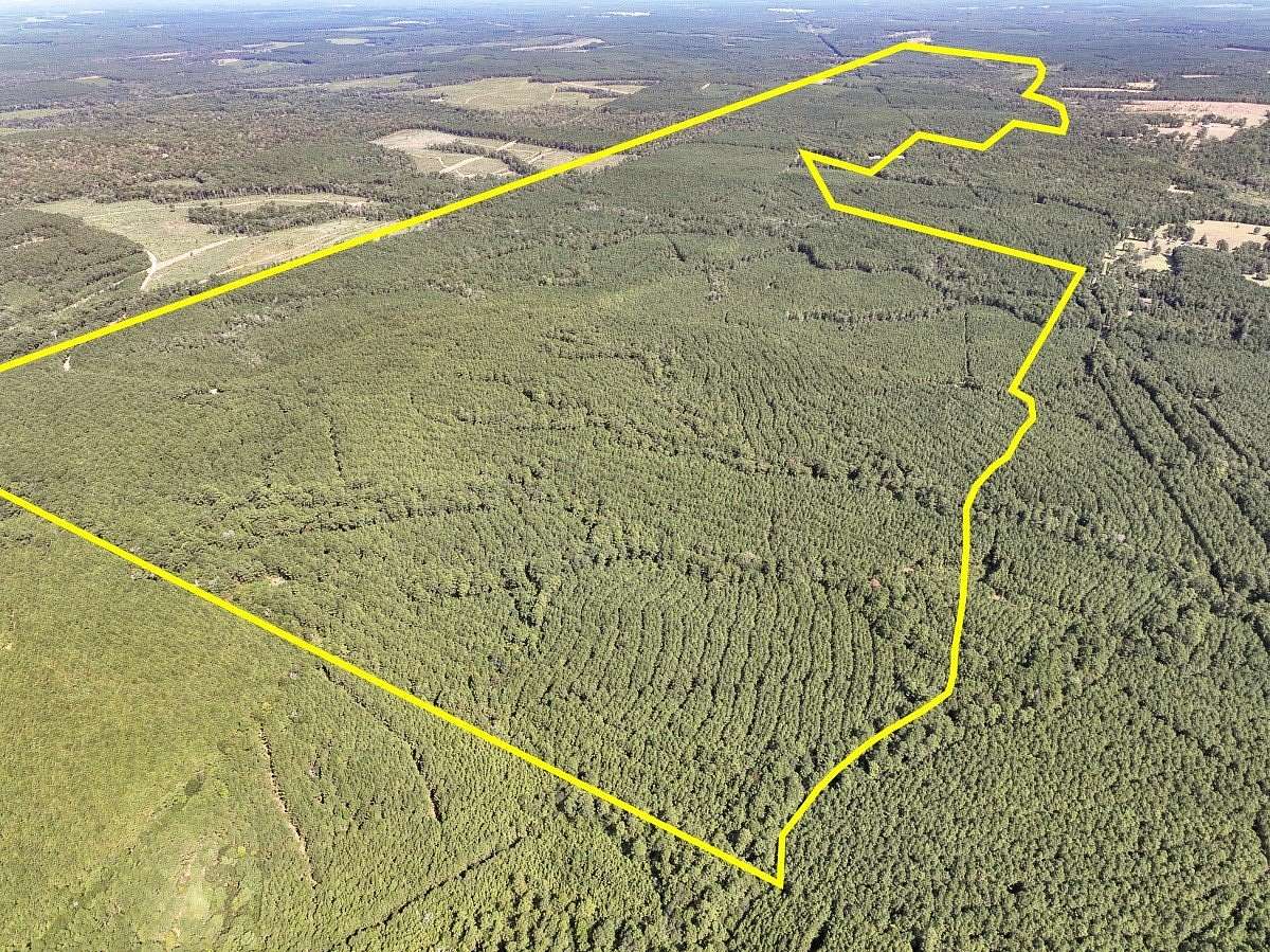 207 Acres of Recreational & Residential Land for Sale in Woodville, Texas