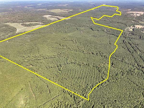 207 Acres of Recreational & Residential Land for Sale in Woodville, Texas