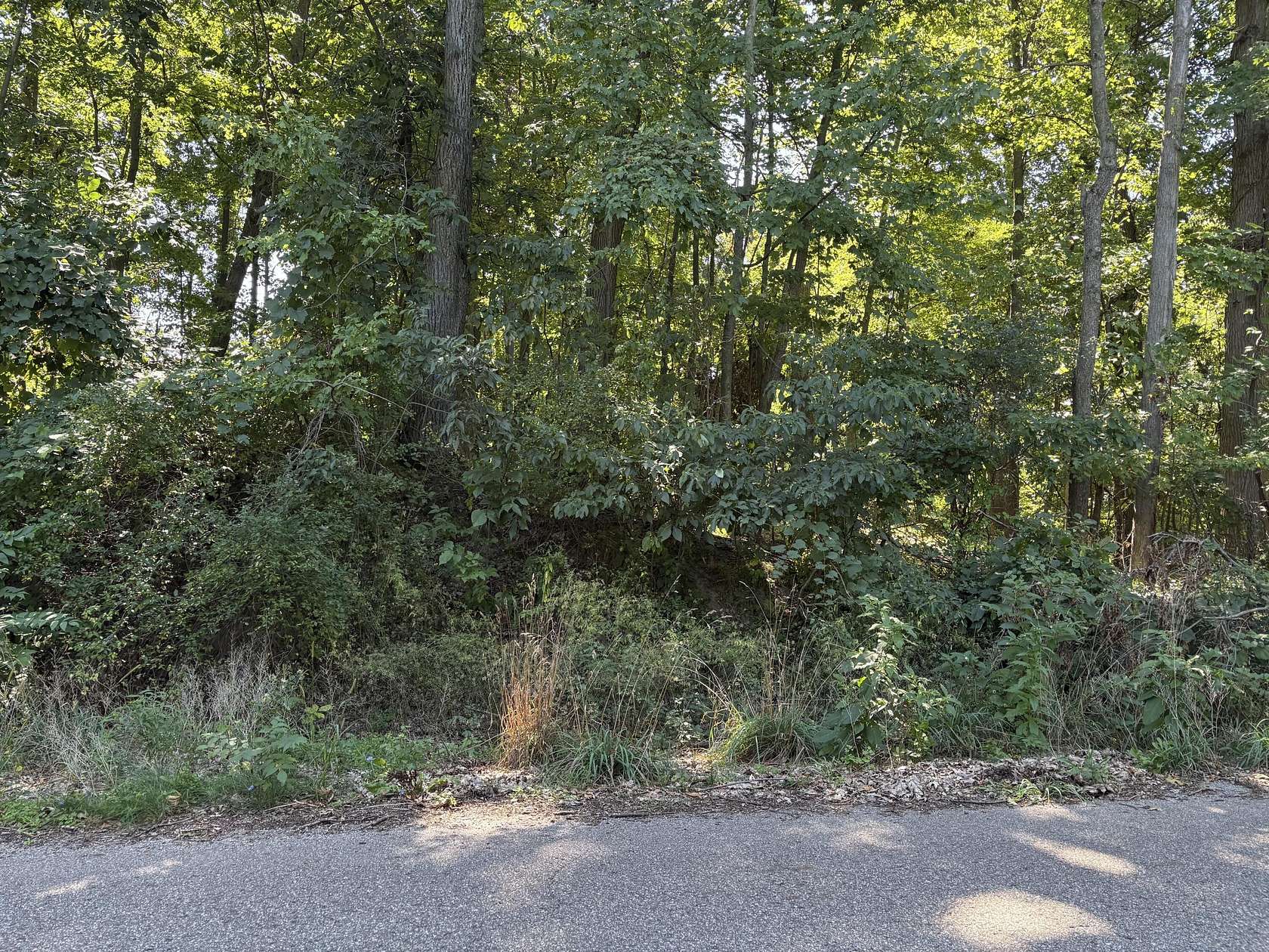 0.63 Acres of Land for Sale in Kalamazoo, Michigan